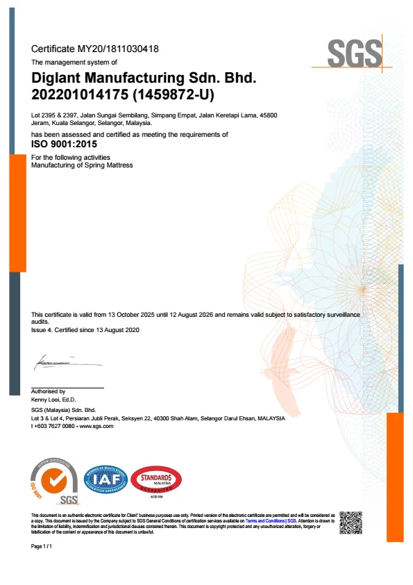 SGS ISO 9001:2015 (Export)